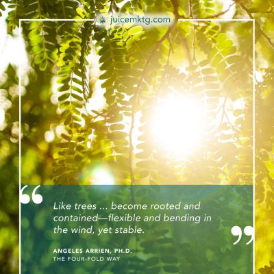 JUC.GR.0826-Quote_AA4