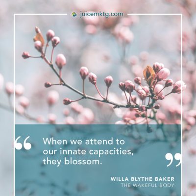 JUC.GR.1025-Quote_WBB