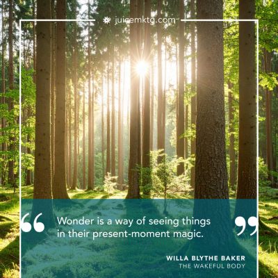 JUC.GR.1225-Quote_WBB6