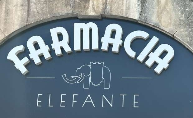 logo with elephant icon